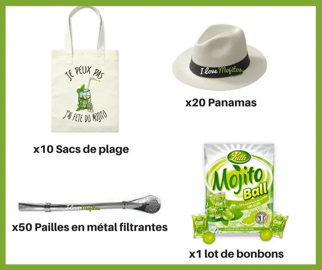 Kit d'animation de la Fête du Mojito : sacs de plage, panamas, pailles en métal