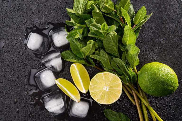Comment faire un mojito sans alcool ? - I Love Mojitos