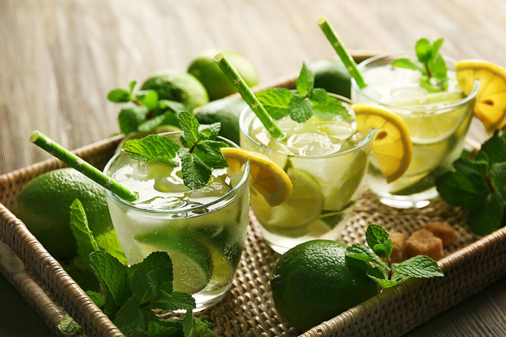 Verre à Mojito : Comment bien choisir ? - I Love Mojitos